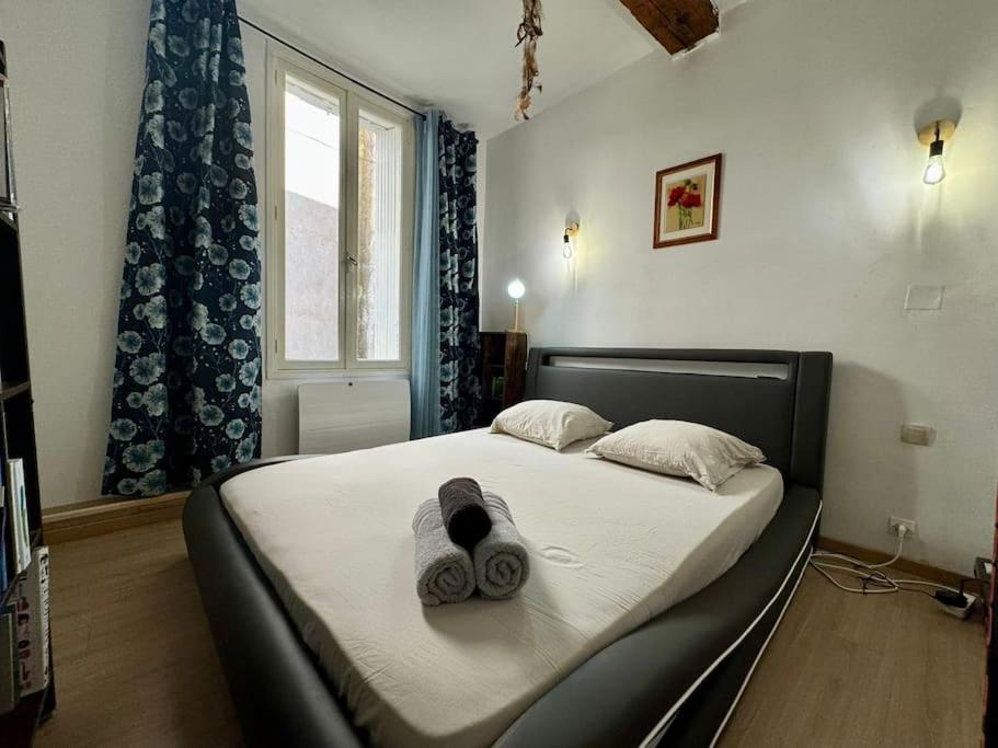 Le Refuge Du Coquelicot Apartment Beziers Luaran gambar
